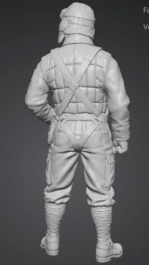 View 2 of Japanese Pilot