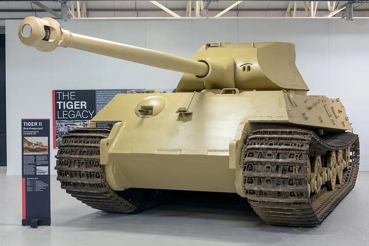 View 8 of King Tiger
